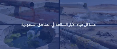 حلول تحلية مياه الآبار للمزارع والفلل في السعودية 2 تحلية مياه الآبار